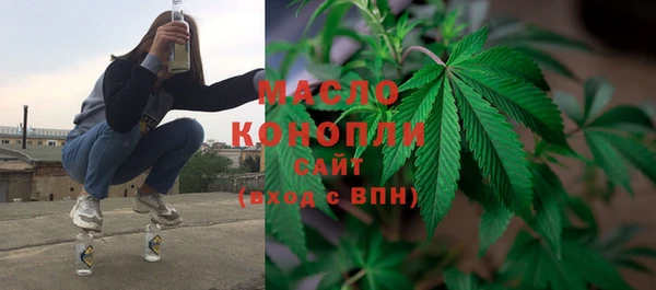 гашик Арсеньев