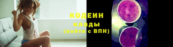 гашик Арсеньев