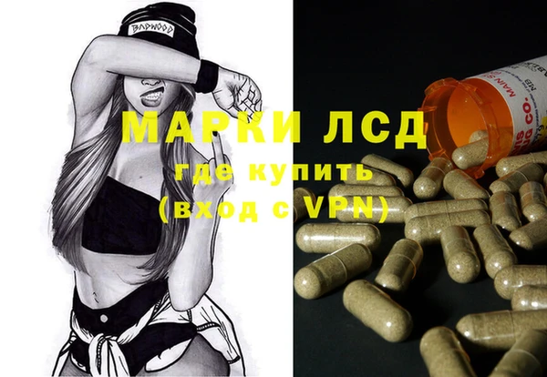 гашик Арсеньев
