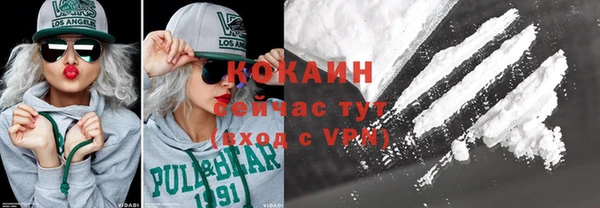 ешки Аркадак