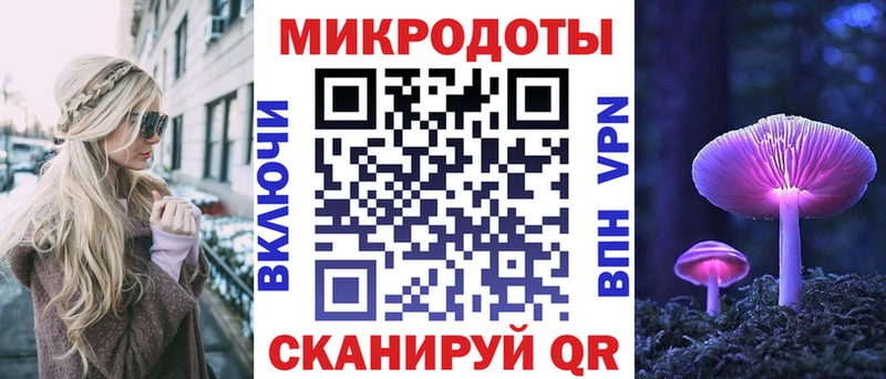 Галлюциногенные грибы Psilocybe  mega онион  Белозерск 